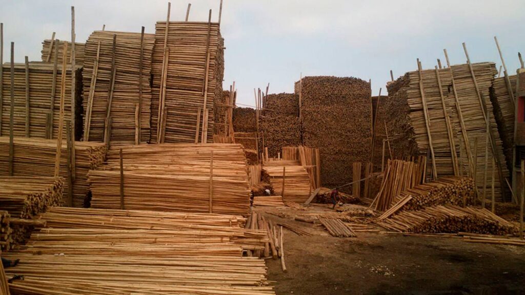 MADERA DE EUCALIPTO